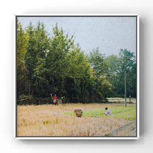 谢文无人休艺术
